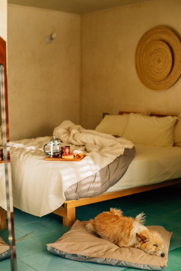 Boulenc Bed And Bread Hotel Oaxaca Exterior photo