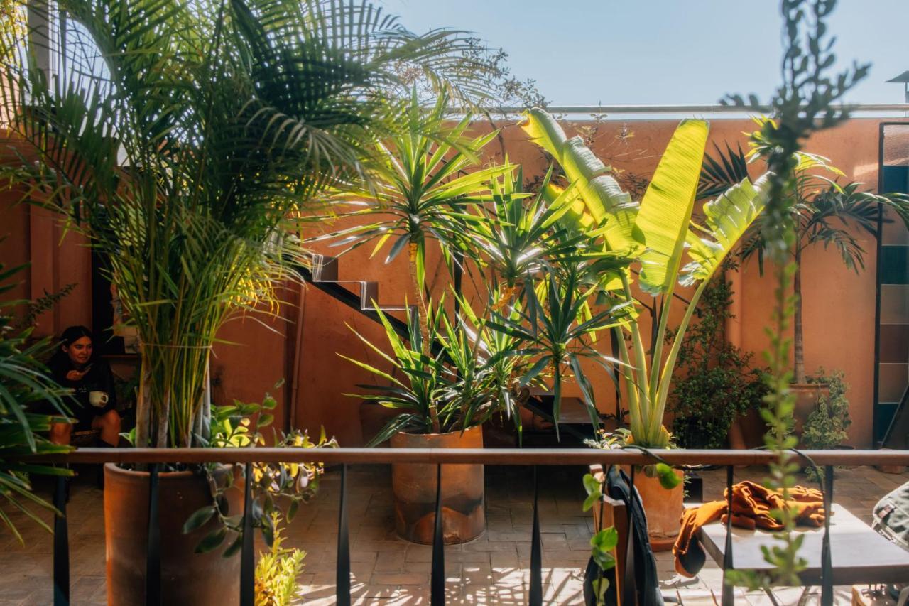 Boulenc Bed And Bread Hotel Oaxaca Exterior photo
